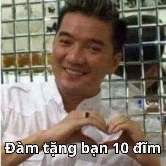 10 điểm meme 1