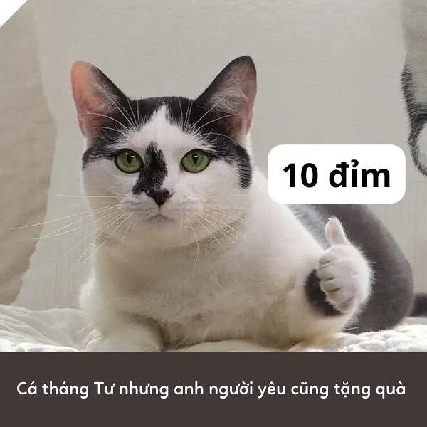 10 điểm meme 17