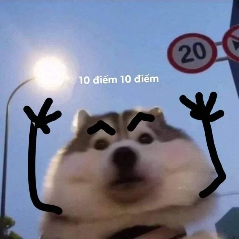 10 điểm meme 19