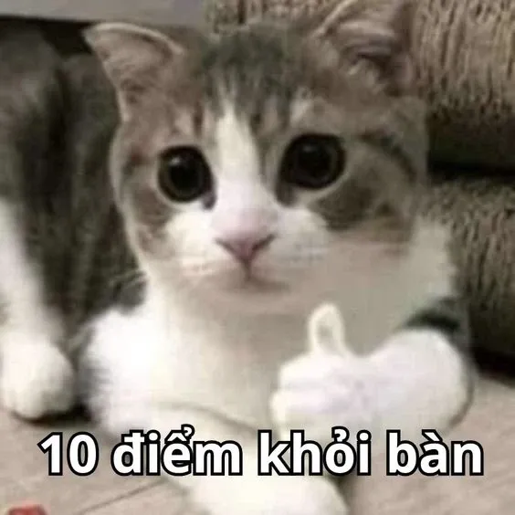 10 điểm meme 40