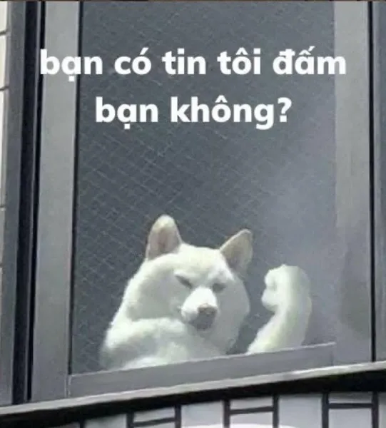 ảnh đại diện meme 20