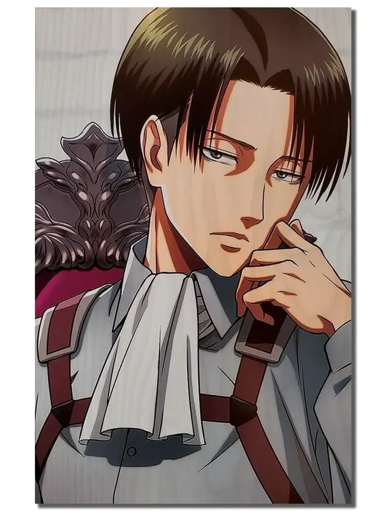  ảnh Levi Ackerman  7