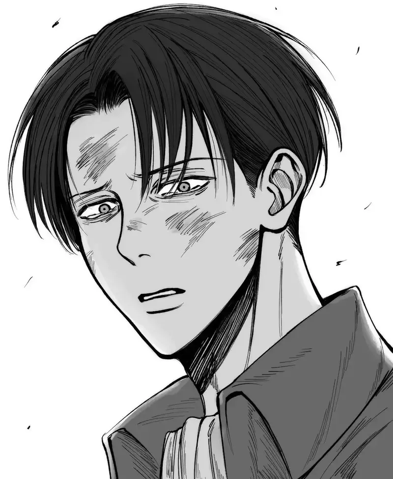  ảnh Levi Ackerman  19