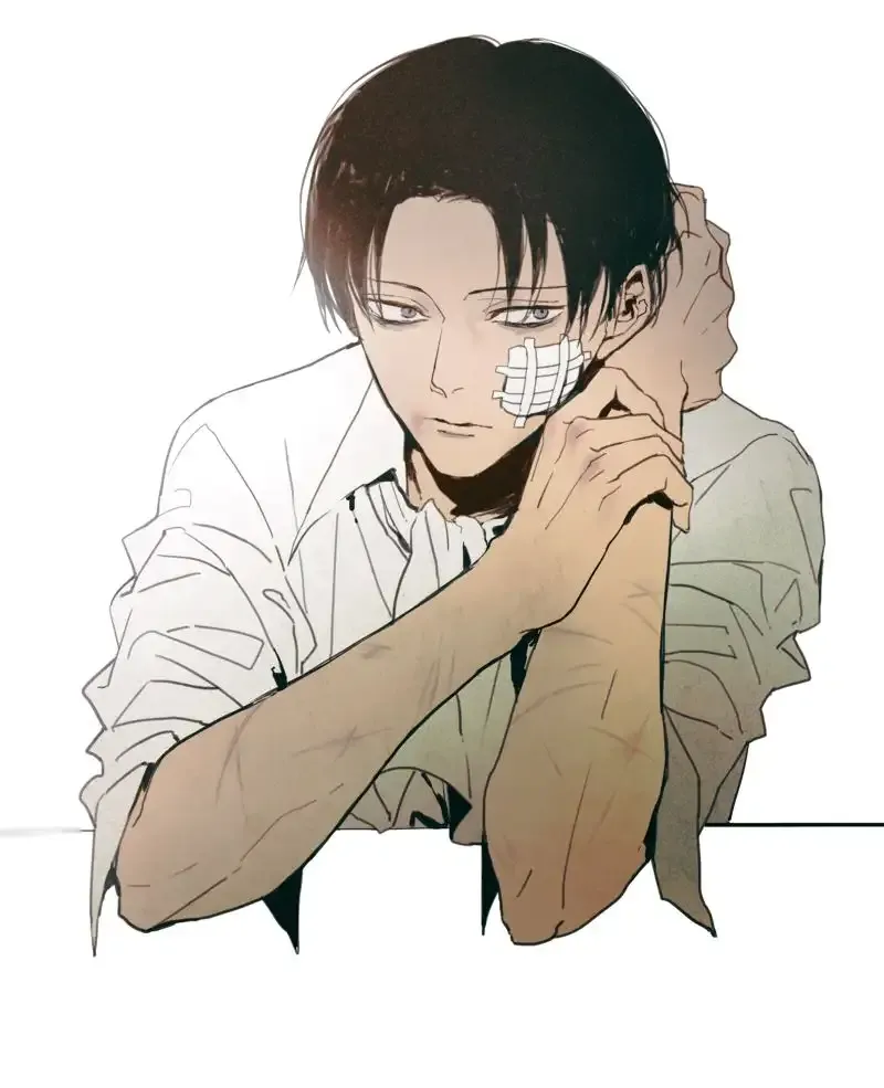  ảnh Levi Ackerman  51