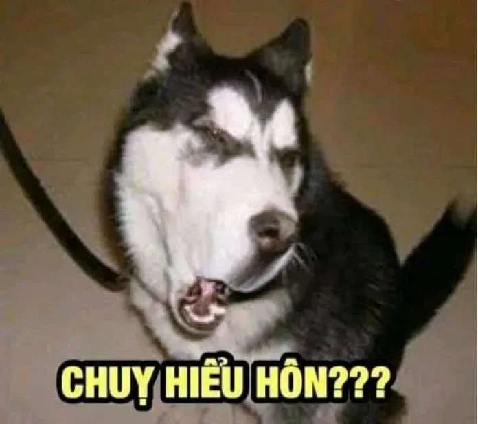 ảnh meme chế 7