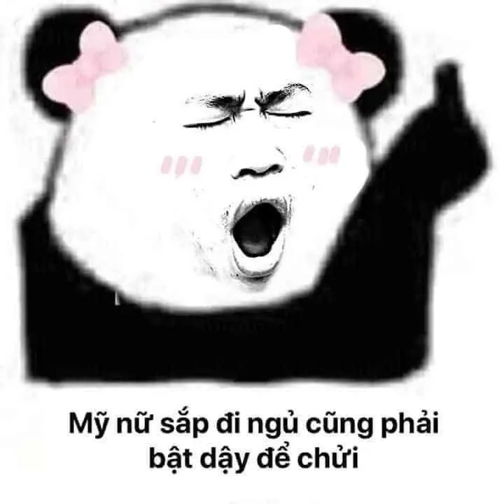 ảnh meme chế 11