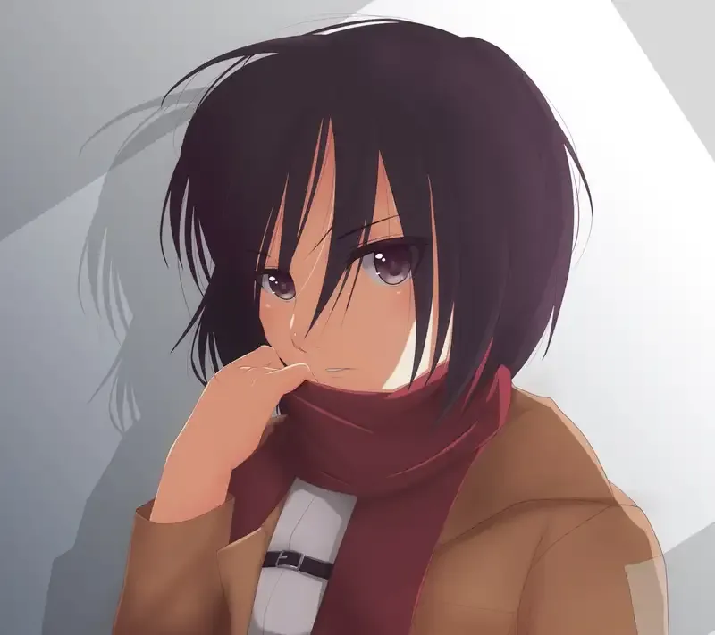  ảnh Mikasa Ackerman 9