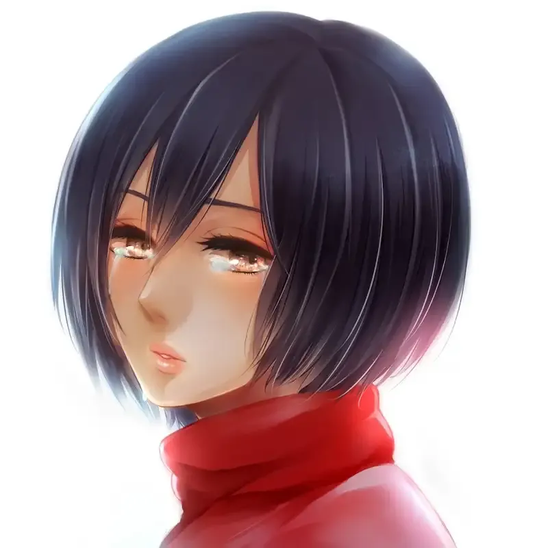  ảnh Mikasa Ackerman 33