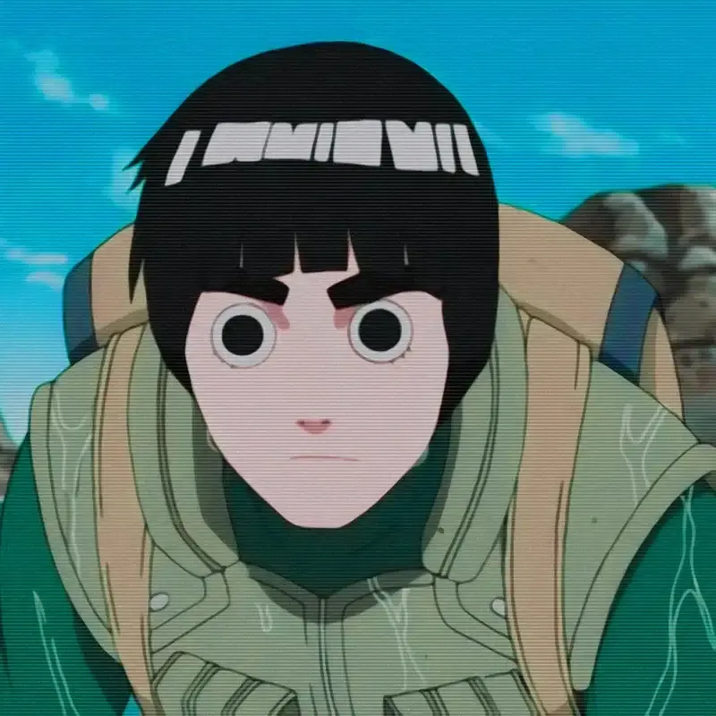 ảnh Rock Lee 4