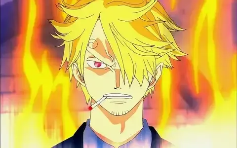 ảnh Sanji  45