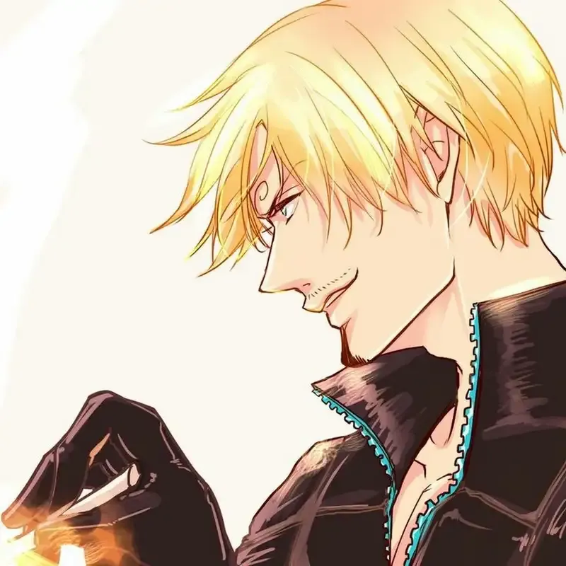 ảnh Sanji  15