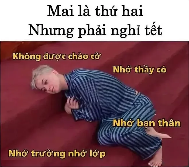 ảnh tết meme 5