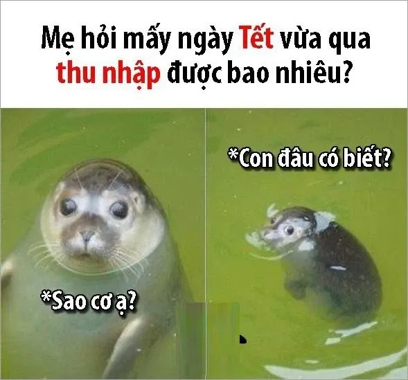 ảnh tết meme 33