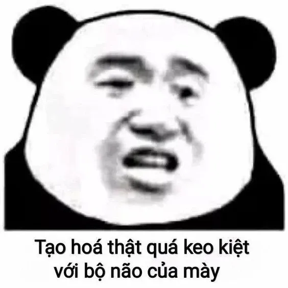 bạn là nhất meme 15