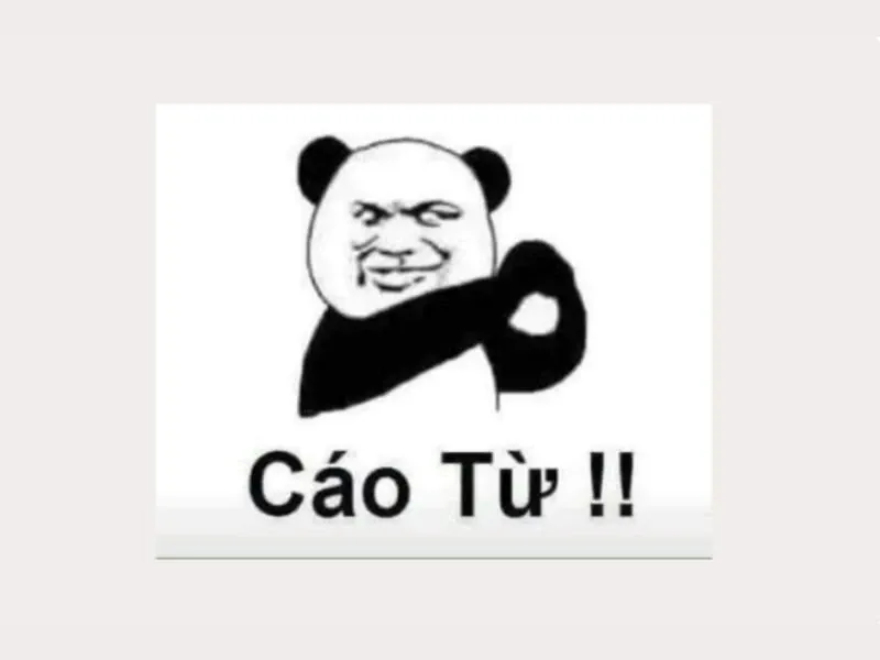 các meme nổi tiếng 9