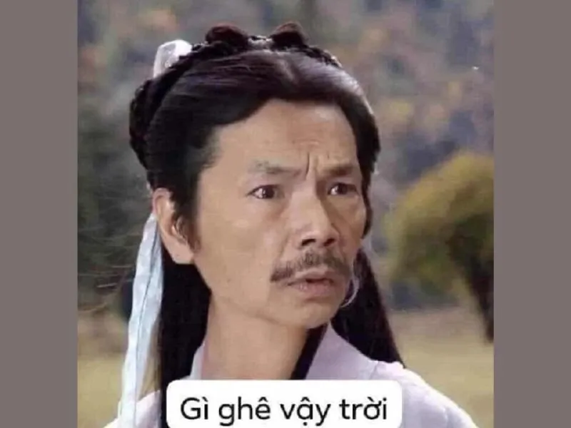 các meme nổi tiếng 22