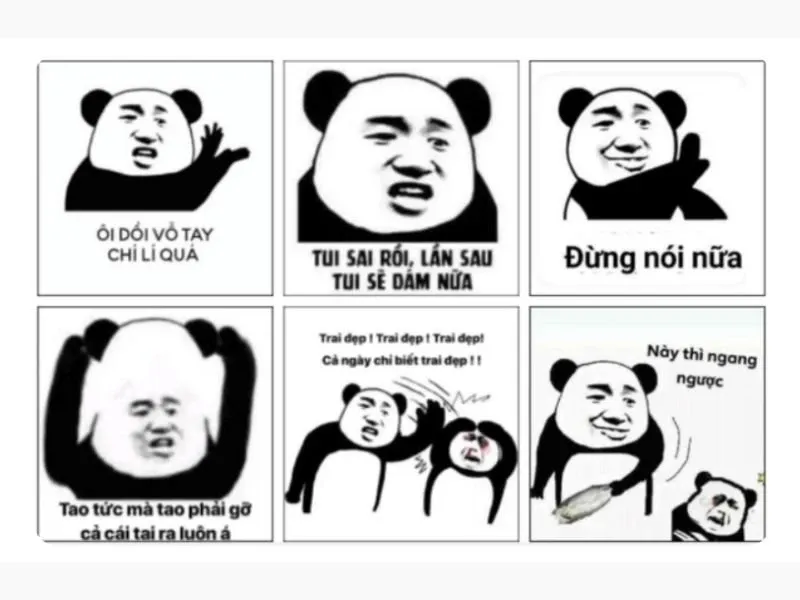 các meme nổi tiếng 25