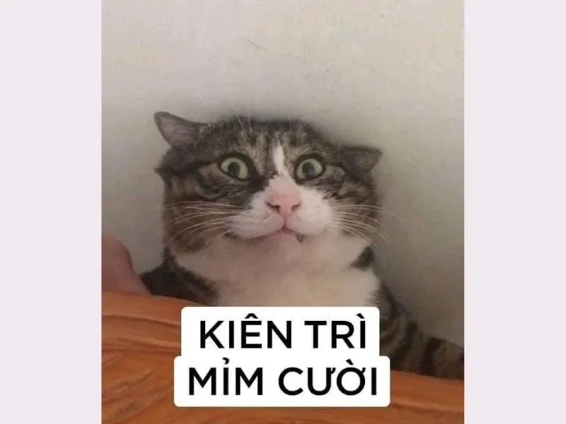 các meme nổi tiếng 26