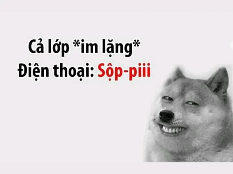 các meme nổi tiếng 38