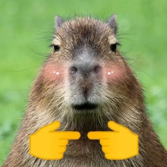 capybara meme 1