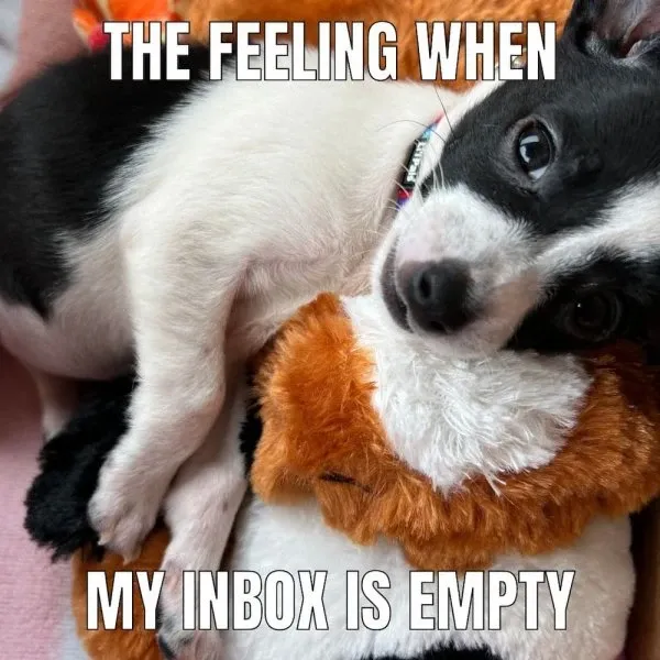 chihuahua meme 18