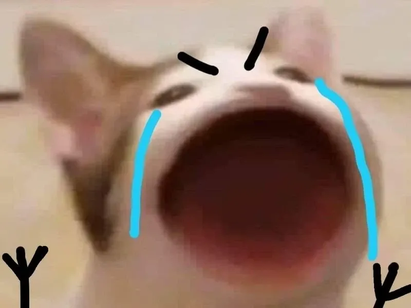 crying cat meme 29