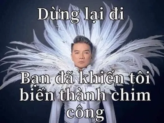 đàm vĩnh hưng meme 23