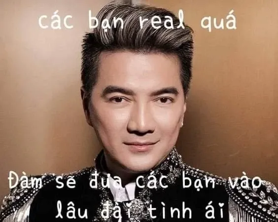 đàm vĩnh hưng meme 34