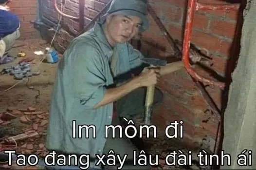 đàm vĩnh hưng meme 36