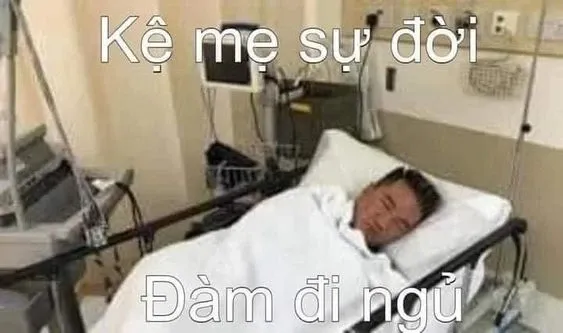 đàm vĩnh hưng meme 44