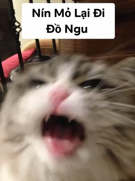 đau ở đây này meme 16