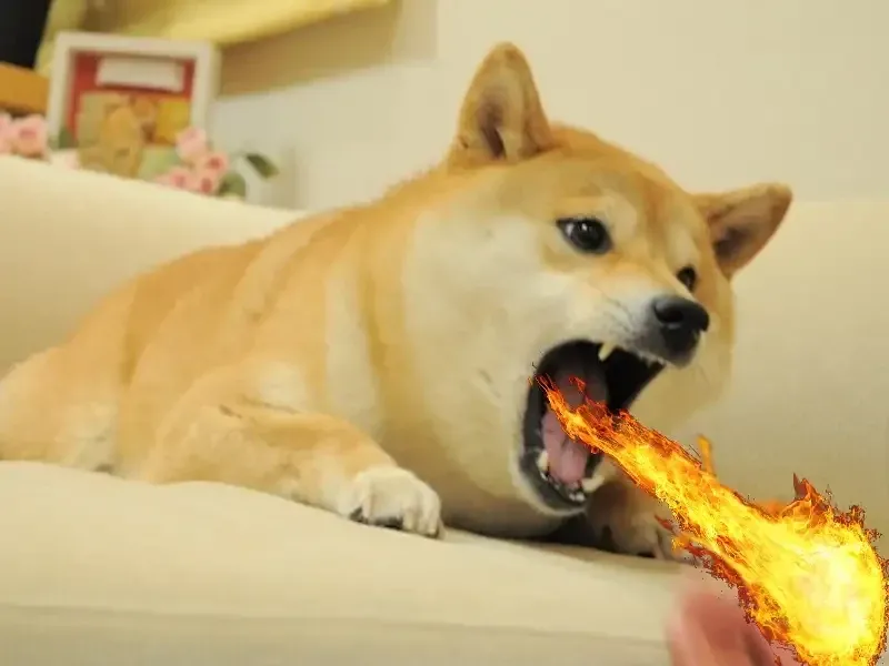 doge meme 28