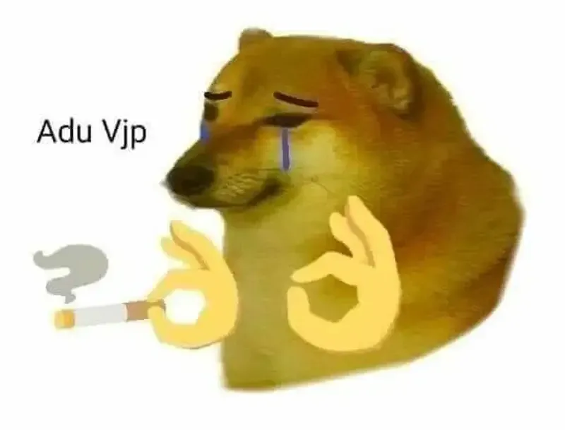 doge meme 43