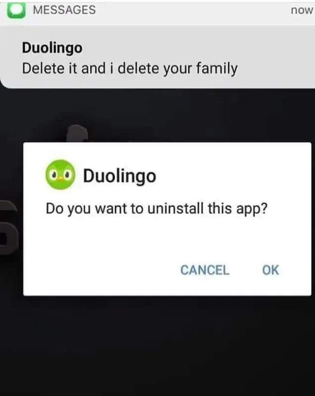 duolingo meme 1