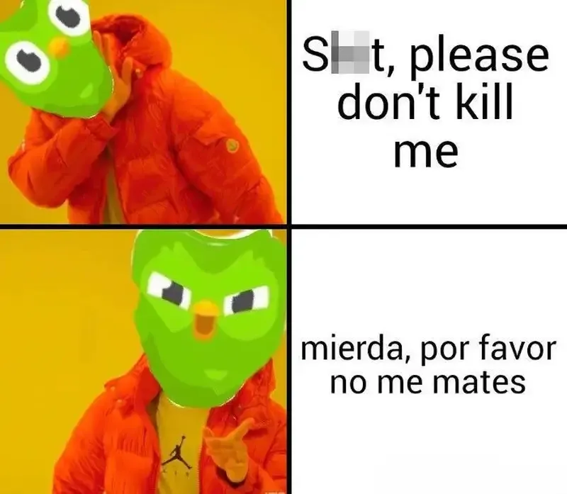 duolingo meme 9