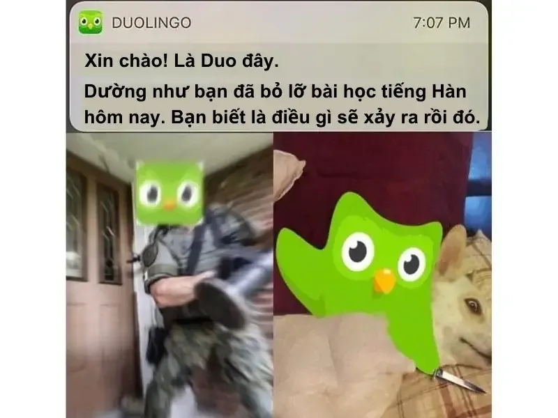 duolingo meme 11