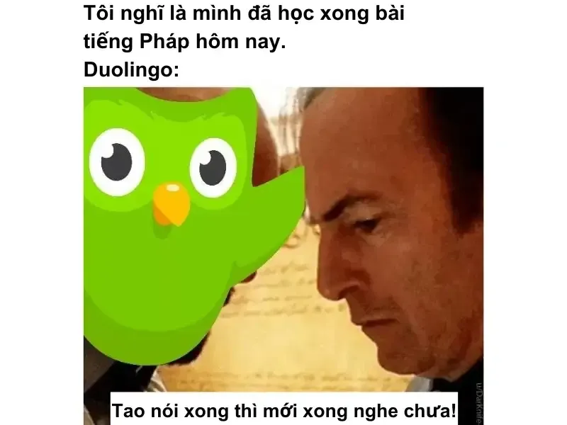 duolingo meme 15