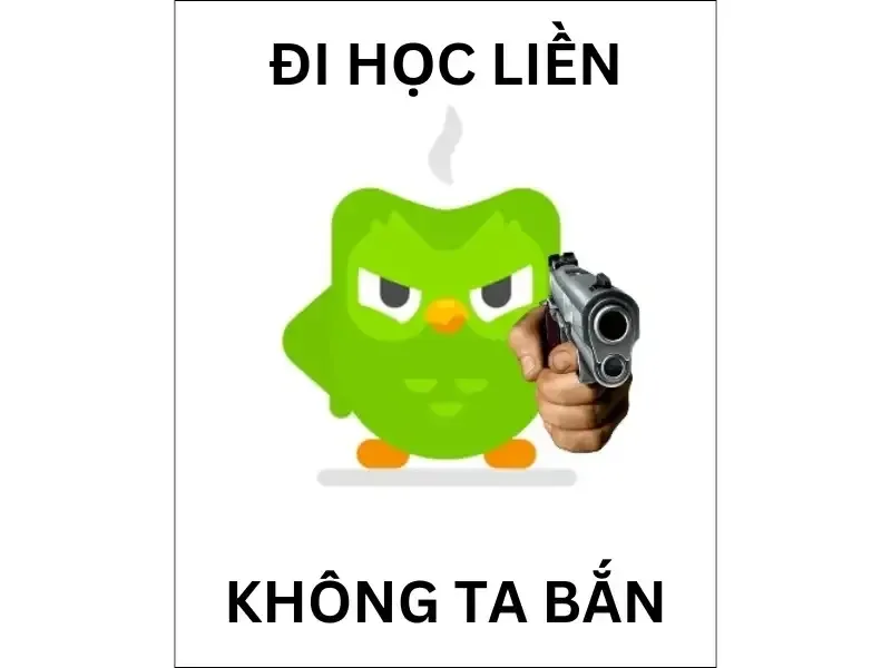 duolingo meme 18