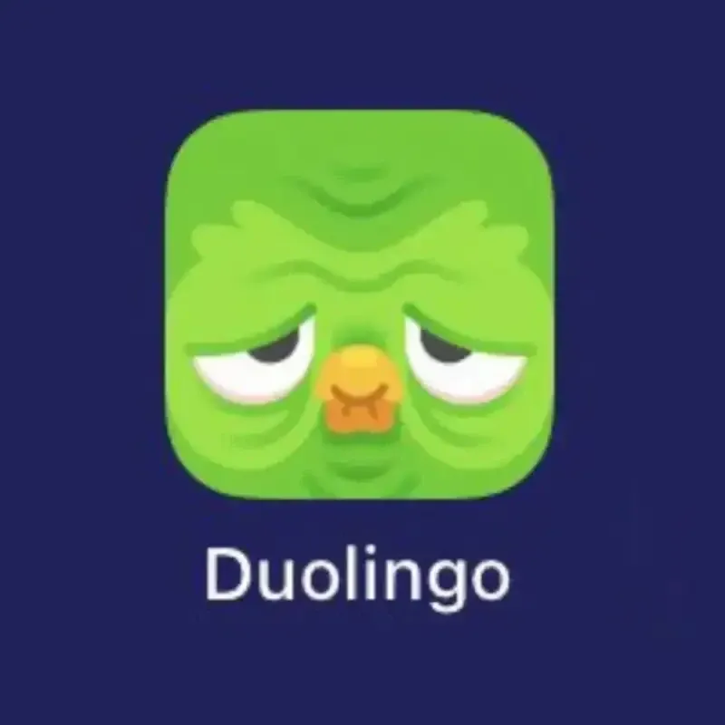 duolingo meme 21