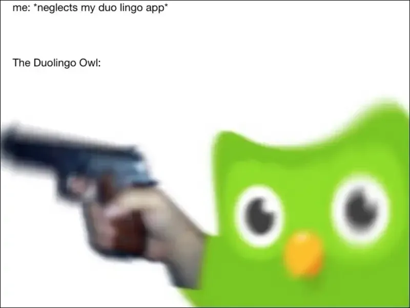 duolingo meme 27