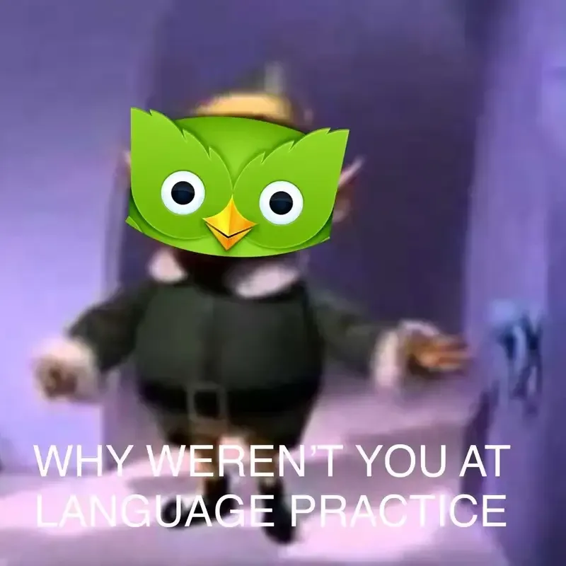 duolingo meme 49