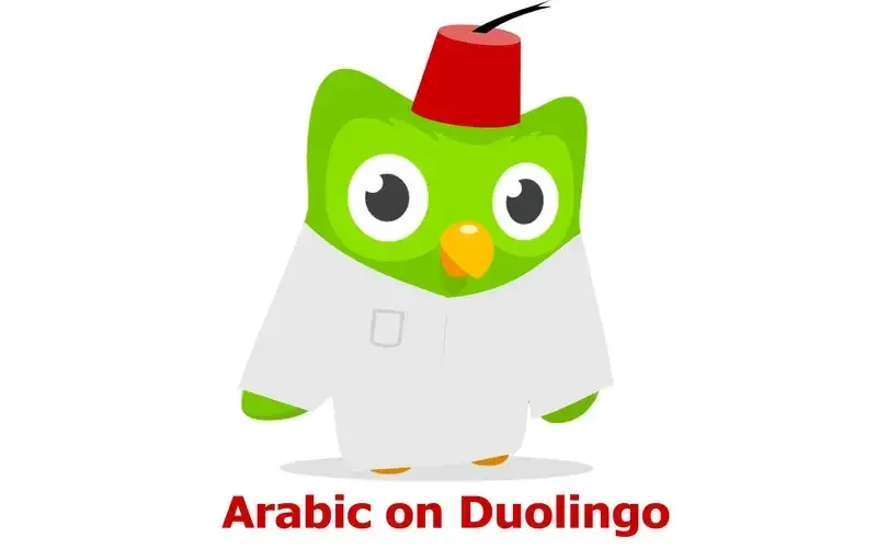 duolingo meme 50