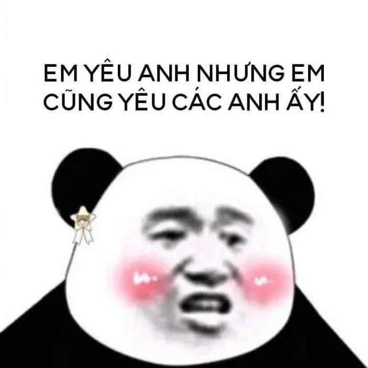 gấu trúc meme 26