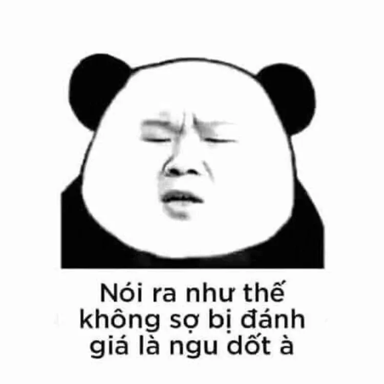 gấu trúc meme 42