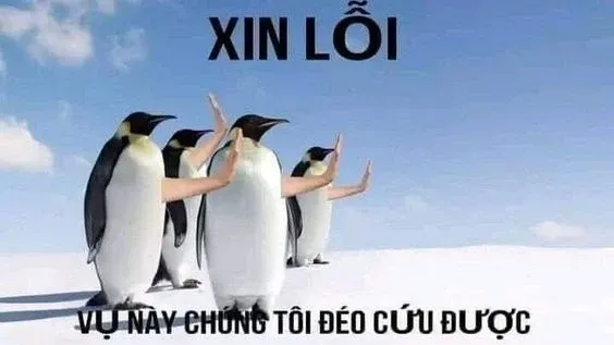 hết cứu nổi meme 6