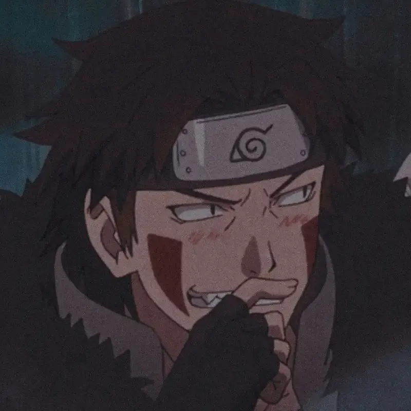  ảnh Kiba Inuzuka  5