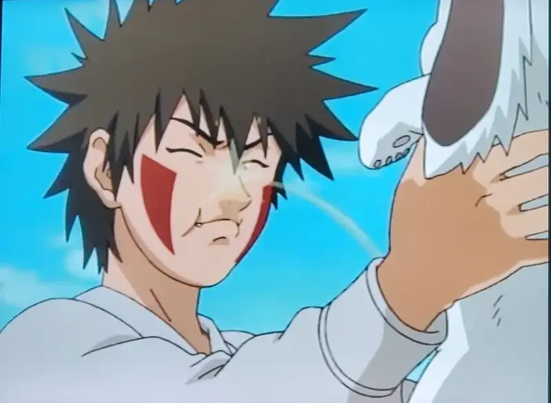  ảnh Kiba Inuzuka  20