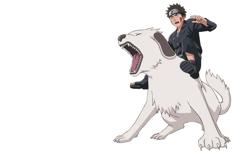  ảnh Kiba Inuzuka  39