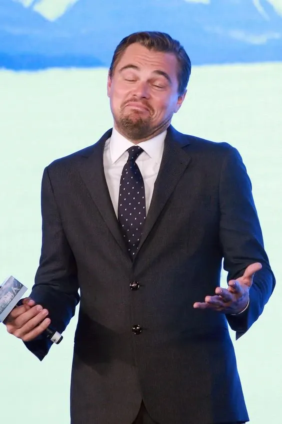 leonardo dicaprio meme 3