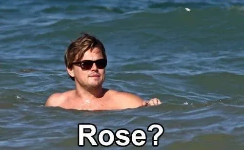 leonardo dicaprio meme 6